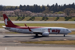 kikiさんが、成田国際空港で撮影したティーウェイ航空 737-8KNの航空フォト（飛行機 写真・画像）