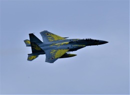 第306飛行隊創設40周年記念塗装」特別塗装機 航空自衛隊 (F-15J