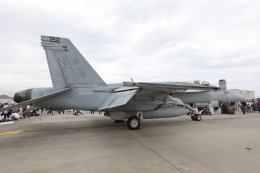 totsu19さんが、岩国空港で撮影したアメリカ海軍 F/A-18E Super Hornetの航空フォト（飛行機 写真・画像）