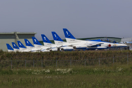 norimotoさんが、松島基地で撮影した航空自衛隊 T-4の航空フォト（飛行機 写真・画像）
