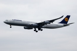 採れたてほしいもさんが、フランクフルト国際空港で撮影したルフトハンザドイツ航空 A340-313Xの航空フォト（飛行機 写真・画像）