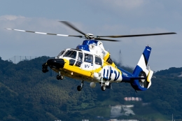 Ariesさんが、八尾空港で撮影した中日本航空 AS365N3+ Dauphin 2の航空フォト（飛行機 写真・画像）