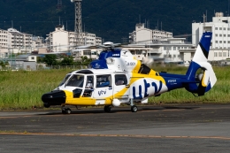 Ariesさんが、八尾空港で撮影した中日本航空 AS365N3+ Dauphin 2の航空フォト（飛行機 写真・画像）