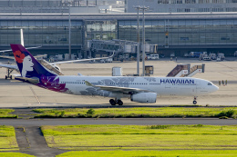 狛犬さんが、羽田空港で撮影したハワイアン航空 A330-243の航空フォト（飛行機 写真・画像）