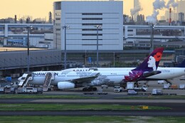 T.Sazenさんが、羽田空港で撮影したハワイアン航空 A330-243の航空フォト（飛行機 写真・画像）