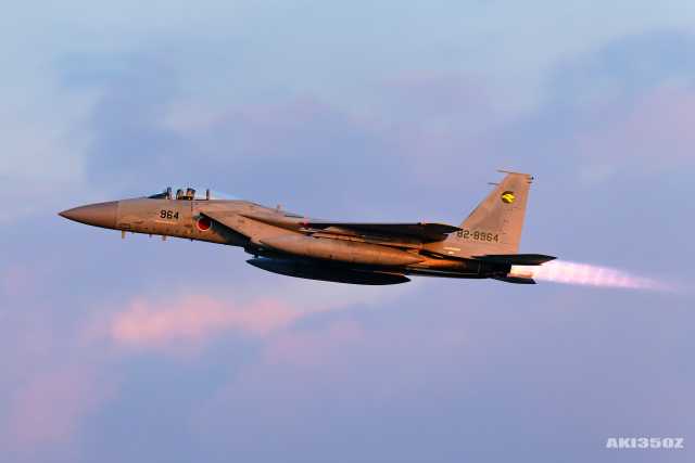機体記号 : 82-8964 (航空自衛隊) 航空機体ガイド | FlyTeam