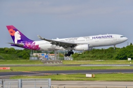 JA8943さんが、成田国際空港で撮影したハワイアン航空 A330-243の航空フォト（飛行機 写真・画像）