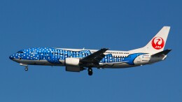 JAL ジンベエジェット　BOEING 737-400　JA8939　1:200 Amazon | 【1】 エフトイズ 1/500 JALウイングコレクション 新