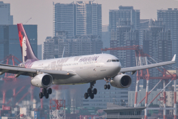 ちゅーしーさんが、羽田空港で撮影したハワイアン航空 A330-243の航空フォト（飛行機 写真・画像）