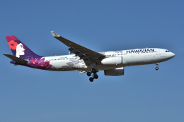 A_chanさんが、成田国際空港で撮影したハワイアン航空 A330-243の航空フォト（飛行機 写真・画像）