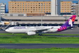 天心さんが、羽田空港で撮影したハワイアン航空 A330-243の航空フォト（飛行機 写真・画像）