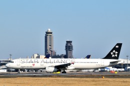 アシアナ航空 Aviationtagt A321-100 スターアライアンスロゴ アシアナ航空 Aviationtagt A321-100 スターアライアンスロゴ