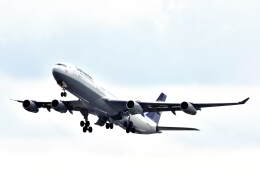 knock1950さんが、成田国際空港で撮影したルフトハンザドイツ航空 A340-313Xの航空フォト（飛行機 写真・画像）