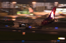 ちゅーしーさんが、福岡空港で撮影したハワイアン航空 A330-243の航空フォト（飛行機 写真・画像）