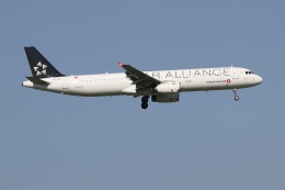 アシアナ航空 Aviationtagt A321-100 スターアライアンスロゴ アシアナ航空 Aviationtagt A321-100 スターアライアンスロゴ