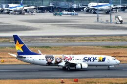 ヤマトジェット」特別塗装機 スカイマーク (737-800 | JA73NG