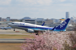 ANA (全日空) 機材一覧 ボーイング737-700 | FlyTeam(フライチーム)