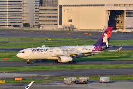 わびさんが、羽田空港で撮影したハワイアン航空 A330-243の航空フォト（飛行機 写真・画像）
