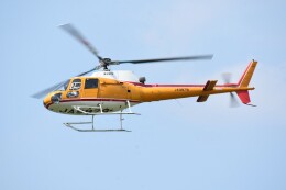M.Tさんが、八尾空港で撮影した東邦航空 AS350B Ecureuilの航空フォト（飛行機 写真・画像）