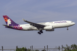 Cozy Gotoさんが、成田国際空港で撮影したハワイアン航空 A330-243の航空フォト（飛行機 写真・画像）