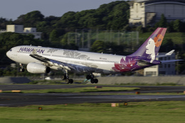 てくろくさんが、福岡空港で撮影したハワイアン航空 A330-243の航空フォト（飛行機 写真・画像）