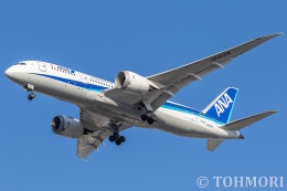 機体記号 : JA812A (ANA) 航空機体ガイド | FlyTeam(フライチーム)