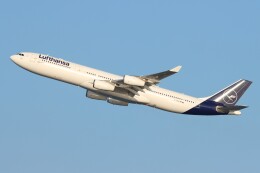 とくさんが、羽田空港で撮影したルフトハンザドイツ航空 A340-313Xの航空フォト（飛行機 写真・画像）