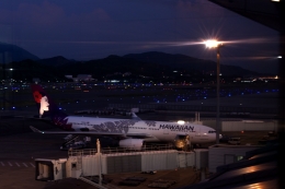 notregretさんが、福岡空港で撮影したハワイアン航空 A330-243の航空フォト（飛行機 写真・画像）