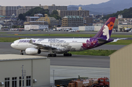 てくろくさんが、福岡空港で撮影したハワイアン航空 A330-243の航空フォト（飛行機 写真・画像）