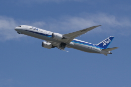 a.mashimaさんが、福岡空港で撮影した全日空 787-9の航空フォト（飛行機 写真・画像）