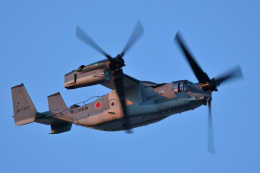 航空フォト：91717 陸上自衛隊 V-22 Osprey