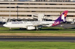 haru.wings_777さんが、羽田空港で撮影したハワイアン航空 A330-243の航空フォト（飛行機 写真・画像）
