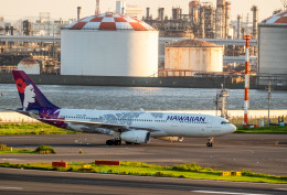 HND_fanさんが、羽田空港で撮影したハワイアン航空 A330-243の航空フォト（飛行機 写真・画像）