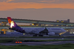 てくろくさんが、福岡空港で撮影したハワイアン航空 A330-243の航空フォト（飛行機 写真・画像）