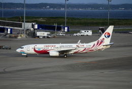 訳あり1:400 HYJL wings 中国東方航空　B737-800 雲南塗装 訳あり1:400 HYJL wings 中国東方航空 B737-800 雲南塗装 - メルカリ