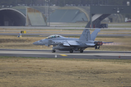 norimotoさんが、三沢飛行場で撮影したアメリカ海軍 EA-18G Growlerの航空フォト（飛行機 写真・画像）