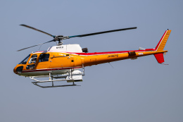 Y.Dさんが、八尾空港で撮影した東邦航空 AS350B Ecureuilの航空フォト（飛行機 写真・画像）