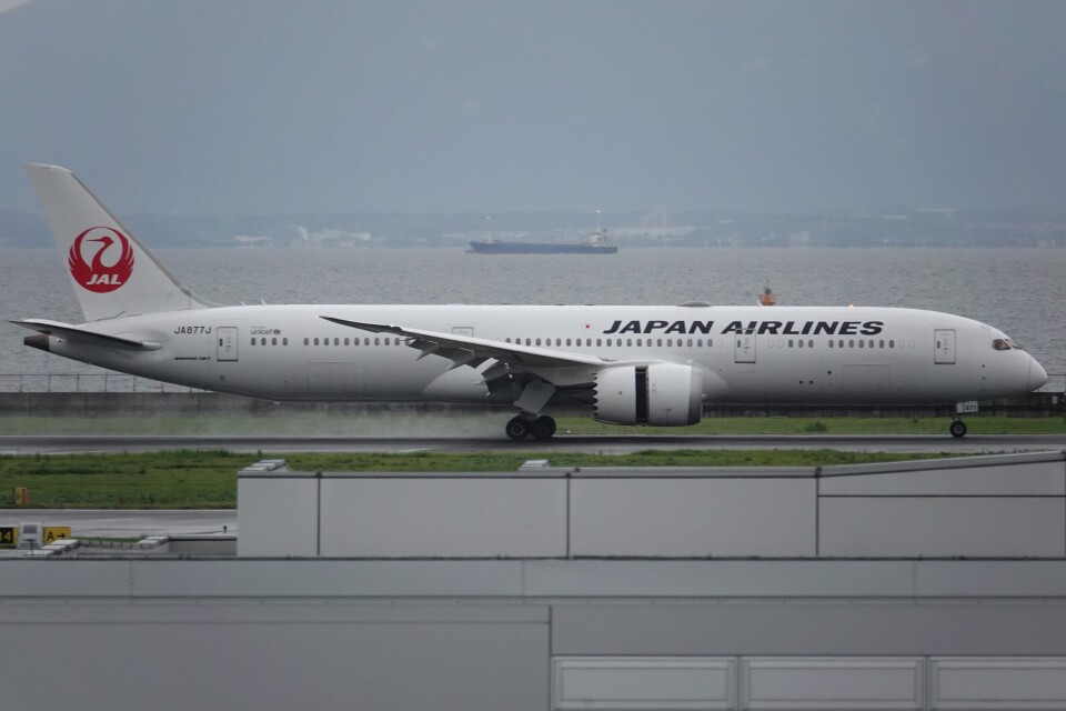 JAL B787-9 JA877J（2024年新作入荷 Boeing Airlines Japan