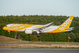 ドリームライナー エチオピア航空 機材一覧 運用中 ボーイング787-8 ドリーム