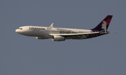 kenko.sさんが、成田国際空港で撮影したハワイアン航空 A330-243の航空フォト（飛行機 写真・画像）