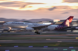 nao✈︎さんが、福岡空港で撮影したハワイアン航空 A330-243の航空フォト（飛行機 写真・画像）