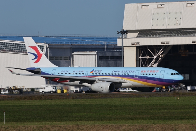 中国東方航空　A330-300  特別塗装機 中国東方航空 A330-300 特別塗装機 - メルカリ
