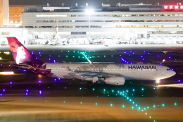 やまモンさんが、羽田空港で撮影したハワイアン航空 A330-243の航空フォト（飛行機 写真・画像）