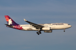 えびでんさんが、羽田空港で撮影したハワイアン航空 A330-243の航空フォト（飛行機 写真・画像）