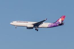 Y-Kenzoさんが、成田国際空港で撮影したハワイアン航空 A330-243の航空フォト（飛行機 写真・画像）