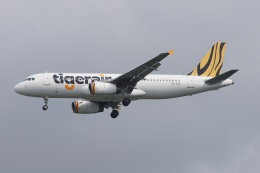 磐城さんが、シンガポール・チャンギ国際空港で撮影したタイガーエア A320-232の航空フォト（飛行機 写真・画像）