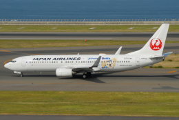 【通常塗装】JAL 日本航空 737-800 JA317J 通常塗装】JAL 日本航空 737-800 JA317J ph 1/400 - メルカリ