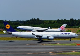 メルシーボクーさんが、成田国際空港で撮影したルフトハンザドイツ航空 A340-313Xの航空フォト（飛行機 写真・画像）