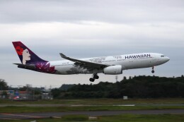 YASKYさんが、成田国際空港で撮影したハワイアン航空 A330-243の航空フォト（飛行機 写真・画像）