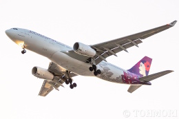 遠森一郎さんが、福岡空港で撮影したハワイアン航空 A330-243の航空フォト（飛行機 写真・画像）